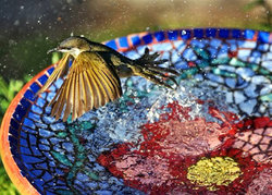 hummingbird-mosaic-bird-bath.jpg