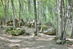 Камни в долине реки Жане (1).jpg