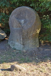 Камни в парке (4).JPG