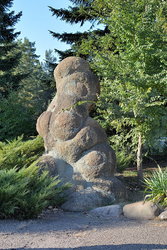 Камни в парке (6).JPG