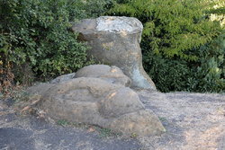 Сад камней в п (24).JPG