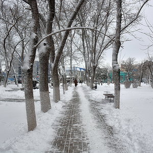 город Белореченск - 2017 (зима) (2)