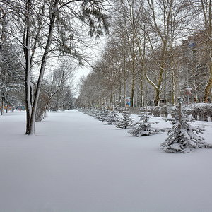 город Белореченск - 2017 (зима) (6)