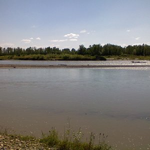 река Белая у г. Белореченска, июль 2008 (2).JPG