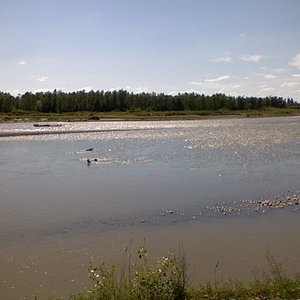 река Белая у г. Белореченска, июль 2008 (1).JPG