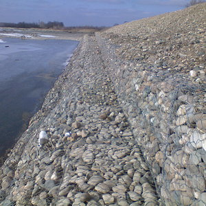 часть дамбы у г. Белореченска, и один из рукавов реки Белой текущий вдоль неё, январь 2008...JPG