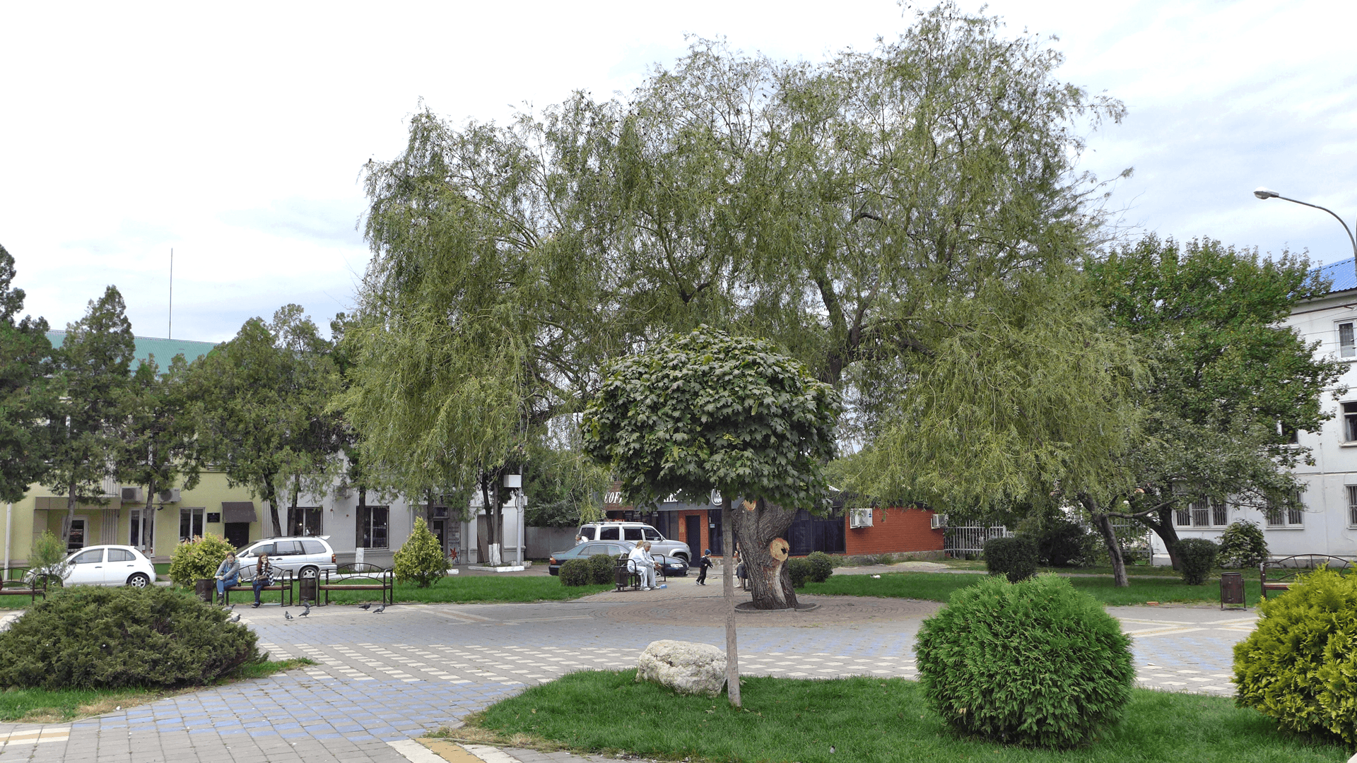 P1320566.png