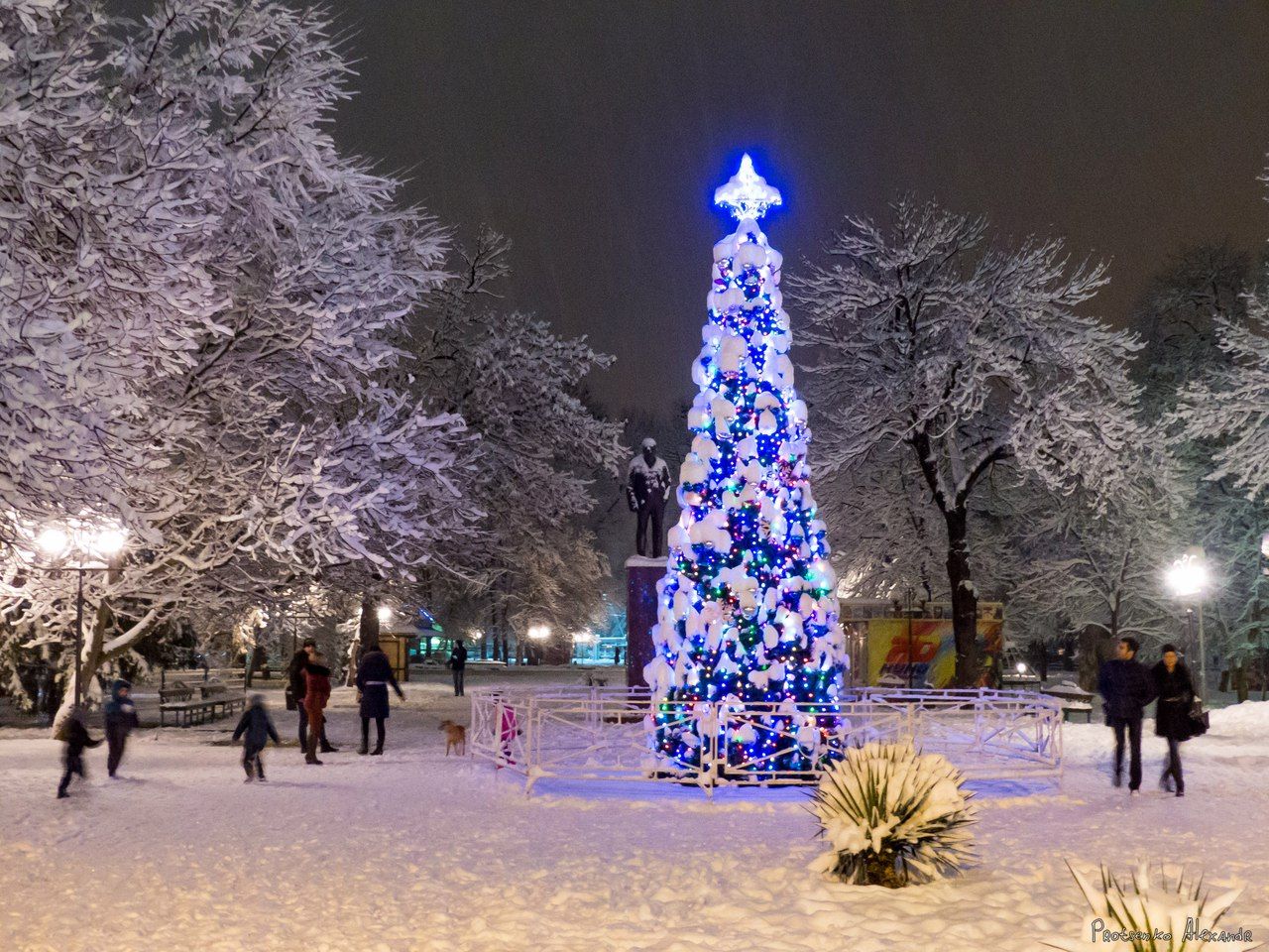 Белореченск Новогодняя елка