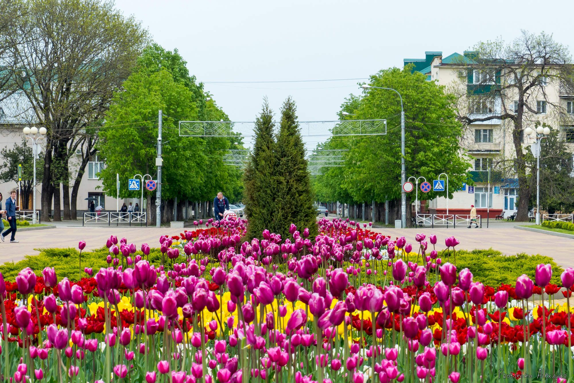 майкоп городской парк