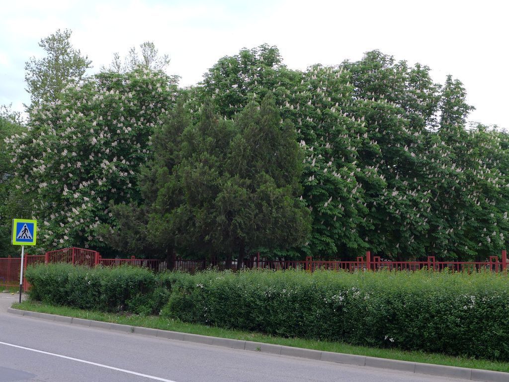 Белореченск (Краснодарский край)