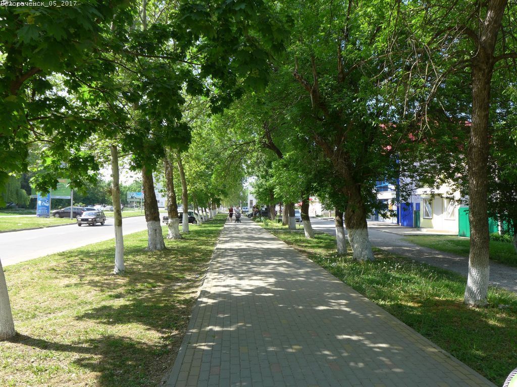 Белореченск краснодарский. Город Белореченск Краснодарский край. Белореченск Адыгея. Белореченск Краснодарский край природа. Улица Ленина, 15, Белореченск, Краснодарский край, Россия.
