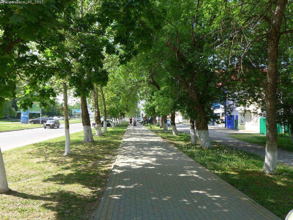 Сайт белореченска. Город Белореченск Краснодарский край. Белореченск Адыгея. Белореченск Краснодарский край природа. Улица Ленина, 15, Белореченск, Краснодарский край, Россия.