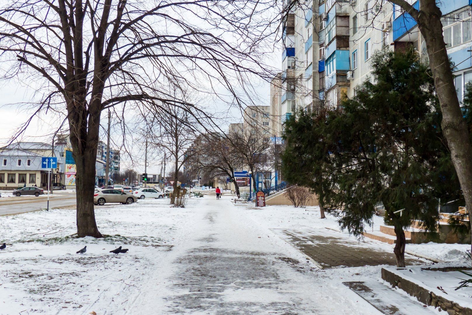 Прогноз белореченск