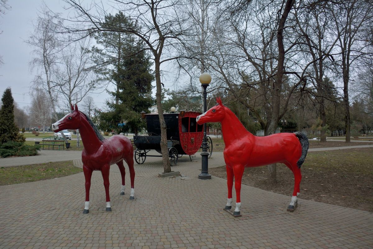 27.01.2018 (парк) (30)