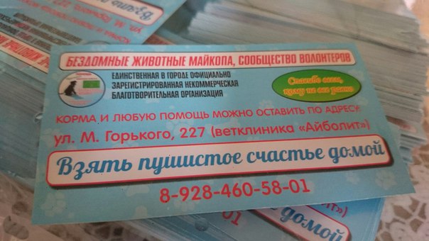 49zSV7reRm0.jpg