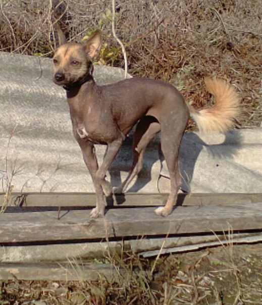 YmICCIdiPUg.jpg