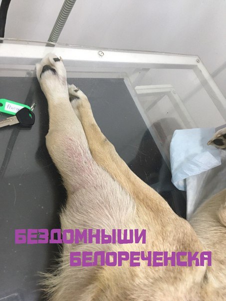 Vp3AsEHmvVA.jpg