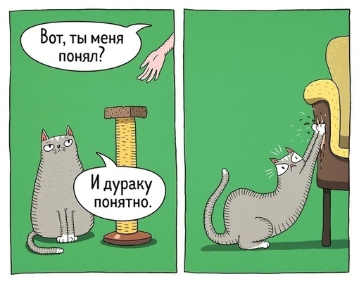 nMcrHf3n7-k.jpg