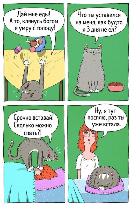 rX-5TU3WzY4.jpg