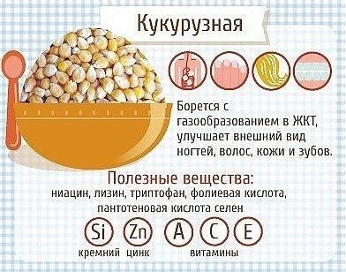 GQNa0H93Cvc.jpg