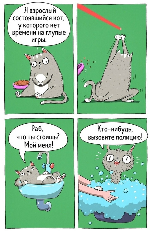 HEMY0sAsibY.jpg