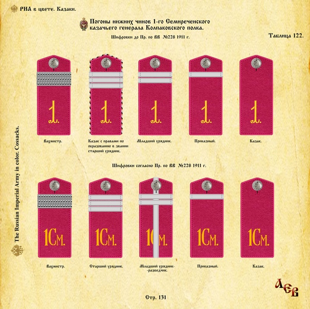 Погоны в царской россии описанием фото