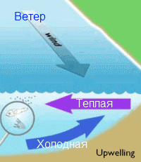 upwelling.gif