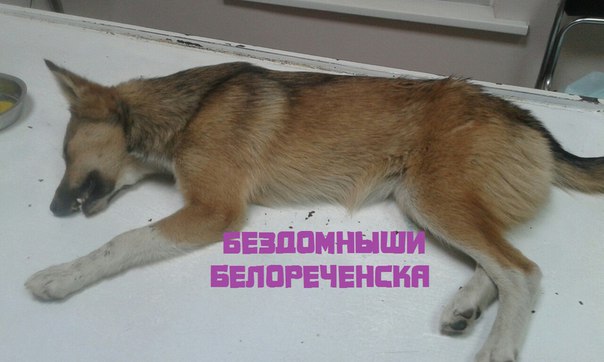 7eAX8U1b6Cw.jpg