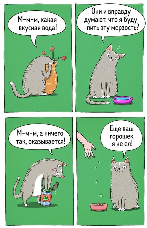 P_KzWpeculg.jpg