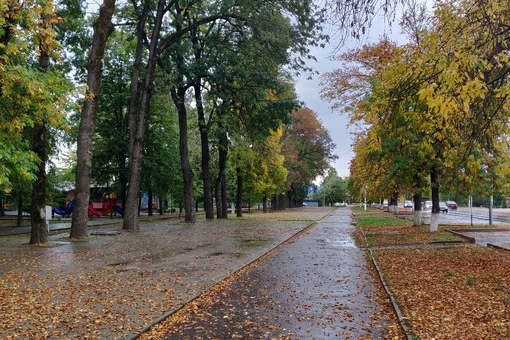 X8w20f332o4.jpg