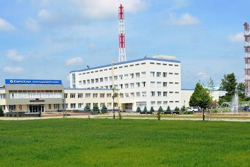 zDghU-n9_dY.jpg
