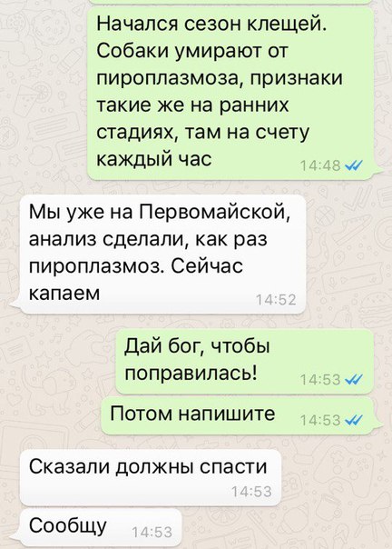 FJYG6g0y2Vc.jpg