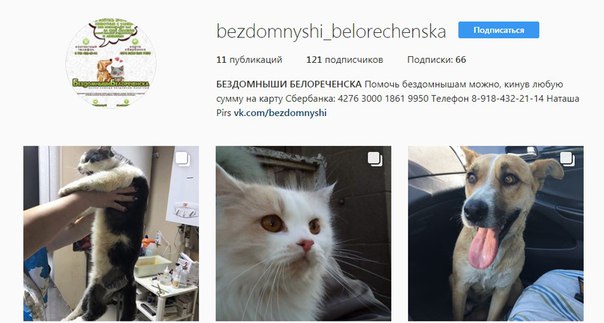vK_aAJXySuY.jpg