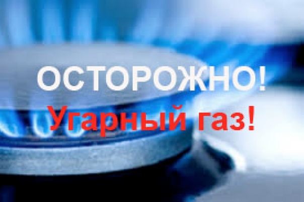 WNVZgJ2qvk8.jpg
