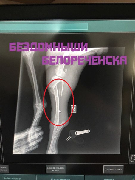cUYoM9MEFoU.jpg
