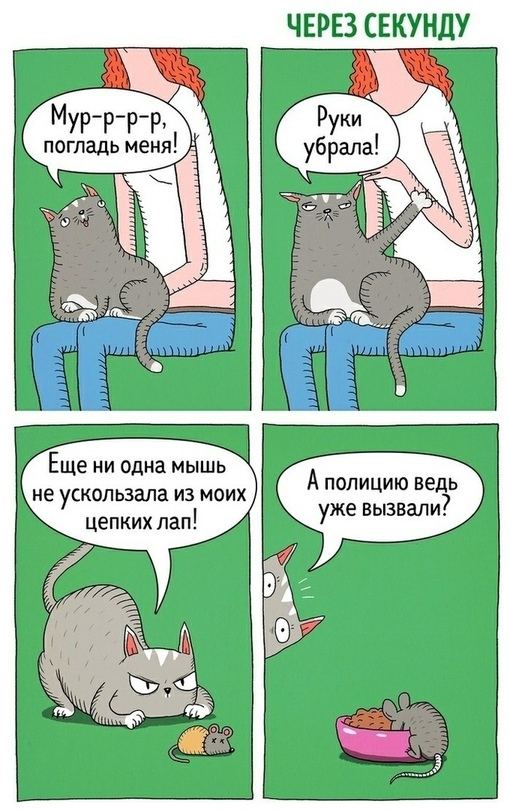 ndCRc42GxQI.jpg