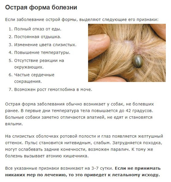 7w91nQJt8Bg.jpg